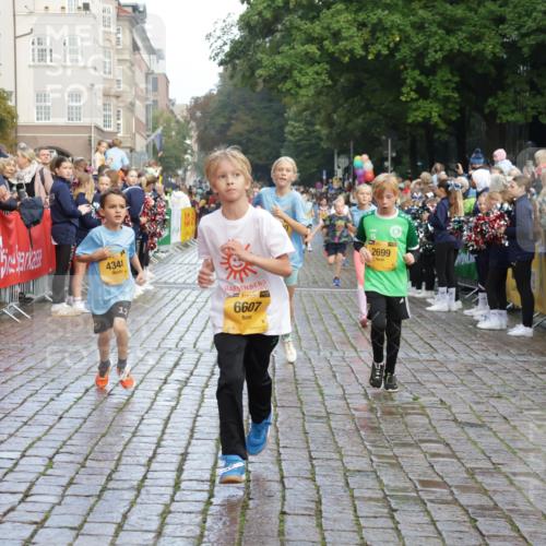 13.09.2026 - Kiel Lauf Yannick Fuchs http://msf.ph/oto/10281034 13.09.2026 08:54:36 Ziel 241, 2139, 2542, 3211, 3457, 3936, 4419, 5462, 5693, 6574, 6740, 6945, 7055, 7774, 8110, 8111, 8670, 8850, 9533, 9698, 10488, 10937, 11656, 241, 488, 1218, 1244, 1463, 1540, 2489, 2610, 2742, 3211, 3896, 4059, 4419, 4494, 4618, 4717, 4731, 5041, 5236, 5462, 5993, 6030, 6134, 6214, 6618, 7055, 7470, 8545, 9291, 9447, 9714, 9850, 9880, 10775, 10868, 10920, 11468, 11672, 11840, 12111, 12112, 12829, 159, 561, 820, 1701, 2699, 2770, 4069, 4227, 4348, 6607, 120, 2122 meine-sportfotos.de