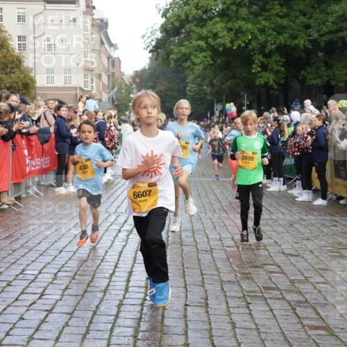 13.09.2026 - Kiel Lauf Yannick Fuchs http://msf.ph/oto/10281040 13.09.2026 08:54:36 Ziel 241, 2139, 2542, 3211, 3457, 3936, 4419, 5462, 5693, 6574, 6740, 6945, 7055, 7774, 8110, 8111, 8670, 8850, 9533, 9698, 10488, 10937, 11656, 241, 488, 1218, 1244, 1463, 1540, 2489, 2610, 2742, 3211, 3896, 4059, 4419, 4494, 4618, 4717, 4731, 5041, 5236, 5462, 5993, 6030, 6134, 6214, 6618, 7055, 7470, 8545, 9291, 9447, 9714, 9850, 9880, 10775, 10868, 10920, 11468, 11672, 11840, 12111, 12112, 12829, 159, 561, 820, 1701, 2699, 2770, 4069, 4227, 4348, 6607, 120, 2122 meine-sportfotos.de