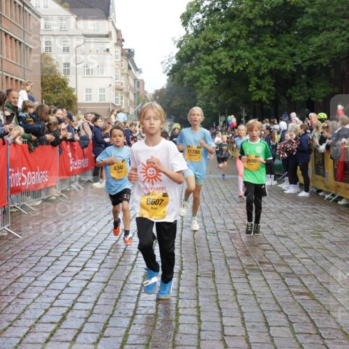 13.09.2026 - Kiel Lauf Yannick Fuchs http://msf.ph/oto/10281045 13.09.2026 08:54:36 Ziel 241, 2139, 2542, 3211, 3457, 3936, 4419, 5462, 5693, 6574, 6740, 6945, 7055, 7774, 8110, 8111, 8670, 8850, 9533, 9698, 10488, 10937, 11656, 241, 488, 1218, 1244, 1463, 1540, 2489, 2610, 2742, 3211, 3896, 4059, 4419, 4494, 4618, 4717, 4731, 5041, 5236, 5462, 5993, 6030, 6134, 6214, 6618, 7055, 7470, 8545, 9291, 9447, 9714, 9850, 9880, 10775, 10868, 10920, 11468, 11672, 11840, 12111, 12112, 12829, 159, 561, 820, 1701, 2699, 2770, 4069, 4227, 4348, 6607, 120, 2122 meine-sportfotos.de