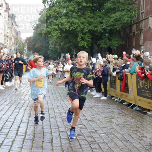 13.09.2026 - Kiel Lauf Yannick Fuchs http://msf.ph/oto/10281086 13.09.2026 08:54:40 Ziel 159, 1701, 2139, 2542, 2754, 3457, 5693, 6574, 6737, 7774, 7877, 8670, 8850, 9045, 9533, 9698, 10488, 11263, 11433, 11656, 241, 488, 1218, 1463, 1540, 2489, 2610, 2742, 3211, 3896, 3936, 4059, 4419, 4494, 4618, 4717, 4731, 5041, 5236, 5462, 5993, 6030, 6134, 6214, 6618, 6740, 6945, 7055, 7470, 8110, 8111, 8545, 9291, 9447, 9714, 9850, 10775, 10868, 10920, 10937, 11468, 11656, 11672, 11840, 12112, 561, 744, 820, 2699, 2770, 2773, 4069, 4227, 4348, 6607 meine-sportfotos.de