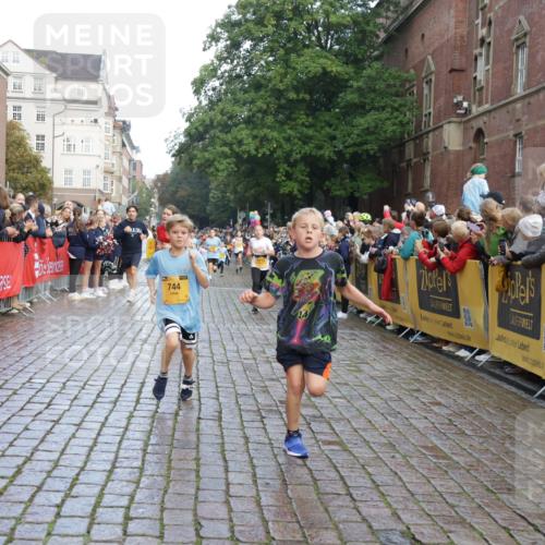 13.09.2026 - Kiel Lauf Yannick Fuchs http://msf.ph/oto/10281092 13.09.2026 08:54:40 Ziel 159, 1701, 2139, 2542, 2754, 3457, 5693, 6574, 6737, 7774, 7877, 8670, 8850, 9045, 9533, 9698, 10488, 11263, 11433, 11656, 241, 488, 1218, 1463, 1540, 2489, 2610, 2742, 3211, 3896, 3936, 4059, 4419, 4494, 4618, 4717, 4731, 5041, 5236, 5462, 5993, 6030, 6134, 6214, 6618, 6740, 6945, 7055, 7470, 8110, 8111, 8545, 9291, 9447, 9714, 9850, 10775, 10868, 10920, 10937, 11468, 11656, 11672, 11840, 12112, 561, 744, 820, 2699, 2770, 2773, 4069, 4227, 4348, 6607 meine-sportfotos.de