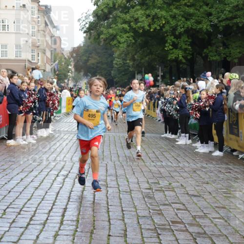 13.09.2026 - Kiel Lauf Yannick Fuchs http://msf.ph/oto/10281127 13.09.2026 08:54:44 Ziel 159, 561, 820, 1701, 2139, 2542, 2754, 2770, 3457, 4227, 5454, 6574, 6737, 7877, 8670, 8850, 9045, 9533, 9698, 10279, 10447, 10488, 11133, 11263, 11433, 12654, 241, 1218, 1463, 1540, 2610, 2742, 3211, 3896, 3936, 4059, 4419, 4494, 4618, 4717, 4731, 5041, 5462, 5693, 6030, 6134, 6214, 6618, 6740, 6945, 7055, 7774, 8110, 8111, 8545, 9291, 9447, 9714, 10920, 10937, 11468, 11656, 11672, 11840, 495, 744, 889, 1450, 2699, 2773, 4069, 4348, 6607 meine-sportfotos.de