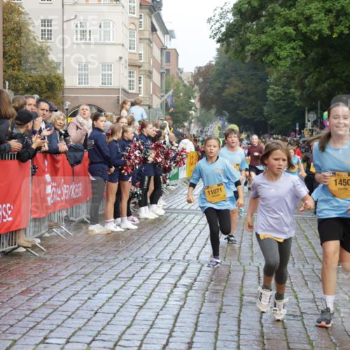 13.09.2026 - Kiel Lauf Yannick Fuchs http://msf.ph/oto/10281146 13.09.2026 08:54:45 Ziel 159, 561, 820, 1701, 2139, 2542, 2754, 2770, 3457, 4227, 5454, 6574, 6737, 7877, 8670, 8850, 9045, 9533, 9698, 10279, 10447, 10488, 11133, 11263, 11433, 11464, 12654, 241, 1218, 1463, 1540, 2610, 2742, 3211, 3896, 3936, 4059, 4419, 4494, 4731, 5041, 5462, 5693, 6030, 6134, 6214, 6618, 6740, 6945, 7055, 7774, 8110, 8111, 8545, 9291, 9447, 9698, 9714, 10920, 10937, 11468, 11656, 11672, 11840, 495, 744, 889, 1450, 2699, 2773, 4069, 4348, 6607 meine-sportfotos.de