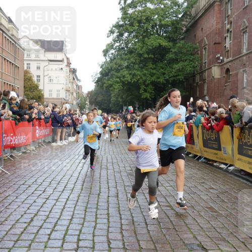13.09.2026 - Kiel Lauf Yannick Fuchs http://msf.ph/oto/10281159 13.09.2026 08:54:46 Ziel 159, 561, 820, 1701, 2139, 2542, 2754, 2770, 3457, 4227, 5454, 6574, 6737, 7877, 8670, 8850, 9045, 9533, 10279, 10447, 10488, 11133, 11263, 11330, 11433, 11464, 11470, 12654, 241, 1218, 1463, 2542, 2610, 2742, 3211, 3896, 3936, 4059, 4419, 4494, 4731, 5041, 5462, 5693, 6030, 6134, 6214, 6618, 6740, 6945, 7055, 7774, 8110, 8111, 8545, 9291, 9447, 9698, 9714, 10920, 10937, 11468, 11656, 11672, 11840, 471, 495, 744, 889, 1450, 2699, 2773, 4069, 4348, 6607 meine-sportfotos.de