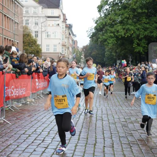 13.09.2026 - Kiel Lauf Yannick Fuchs http://msf.ph/oto/10281165 13.09.2026 08:54:47 Ziel 159, 561, 820, 1701, 2139, 2754, 2770, 3457, 4227, 5454, 6574, 6737, 7877, 8670, 8850, 9045, 9533, 10279, 10447, 10488, 11133, 11263, 11330, 11433, 11464, 11470, 12654, 241, 1218, 1463, 2542, 2610, 2742, 3211, 3896, 3936, 4059, 4419, 4494, 4731, 5041, 5462, 5693, 6030, 6134, 6214, 6618, 6740, 6945, 7055, 7774, 8110, 8111, 8545, 8670, 9291, 9447, 9698, 9714, 10920, 10937, 11468, 11656, 11672, 11840, 471, 495, 744, 889, 1450, 2699, 2773, 4069, 4348, 6607 meine-sportfotos.de