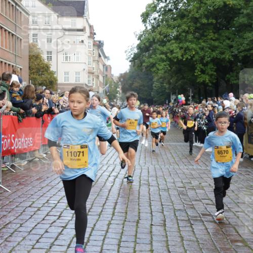 13.09.2026 - Kiel Lauf Yannick Fuchs http://msf.ph/oto/10281169 13.09.2026 08:54:47 Ziel 159, 561, 820, 1701, 2139, 2754, 2770, 3457, 4227, 5454, 6574, 6737, 7877, 8670, 8850, 9045, 9533, 10279, 10447, 10488, 11133, 11263, 11330, 11433, 11464, 11470, 12654, 241, 1218, 1463, 2542, 2610, 2742, 3211, 3896, 3936, 4059, 4419, 4494, 4731, 5041, 5462, 5693, 6030, 6134, 6214, 6618, 6740, 6945, 7055, 7774, 8110, 8111, 8545, 8670, 9291, 9447, 9698, 9714, 10920, 10937, 11468, 11656, 11672, 11840, 471, 495, 744, 889, 1450, 2699, 2773, 4069, 4348, 6607 meine-sportfotos.de