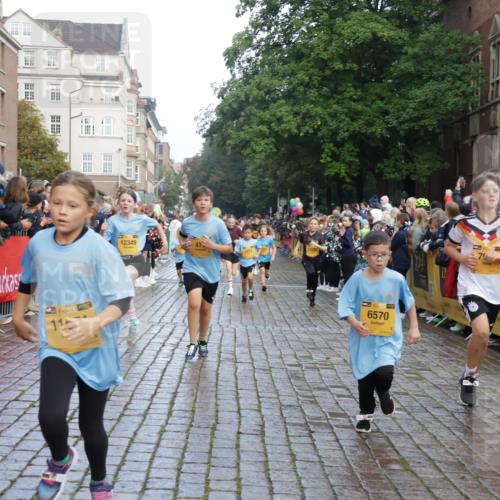 13.09.2026 - Kiel Lauf Yannick Fuchs http://msf.ph/oto/10281172 13.09.2026 08:54:47 Ziel 159, 561, 820, 1701, 2139, 2754, 2770, 3457, 4227, 5454, 6574, 6737, 7877, 8670, 8850, 9045, 9533, 10279, 10447, 10488, 11133, 11263, 11330, 11433, 11464, 11470, 12654, 241, 1218, 1463, 2542, 2610, 2742, 3211, 3896, 3936, 4059, 4419, 4494, 4731, 5041, 5462, 5693, 6030, 6134, 6214, 6618, 6740, 6945, 7055, 7774, 8110, 8111, 8545, 8670, 9291, 9447, 9698, 9714, 10920, 10937, 11468, 11656, 11672, 11840, 471, 495, 744, 889, 1450, 2699, 2773, 4069, 4348, 6607 meine-sportfotos.de