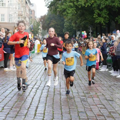 13.09.2026 - Kiel Lauf Yannick Fuchs http://msf.ph/oto/10281197 13.09.2026 08:54:50 Ziel 159, 561, 820, 1701, 2139, 2699, 2754, 2770, 3457, 4227, 4348, 5454, 6574, 6607, 6737, 7877, 9045, 9533, 10279, 10447, 10488, 11133, 11263, 11330, 11433, 11464, 11470, 11780, 12654, 241, 1218, 1463, 2139, 2542, 2610, 2742, 3211, 3457, 3896, 3936, 4419, 4494, 4731, 5041, 5462, 5693, 6030, 6214, 6618, 6740, 6945, 7055, 7774, 8110, 8111, 8545, 8670, 8850, 9447, 9698, 9714, 10488, 10920, 10937, 11468, 11656, 11672, 11840, 471, 495, 744, 889, 1450, 1768, 2773, 3219, 3863, 4069 meine-sportfotos.de
