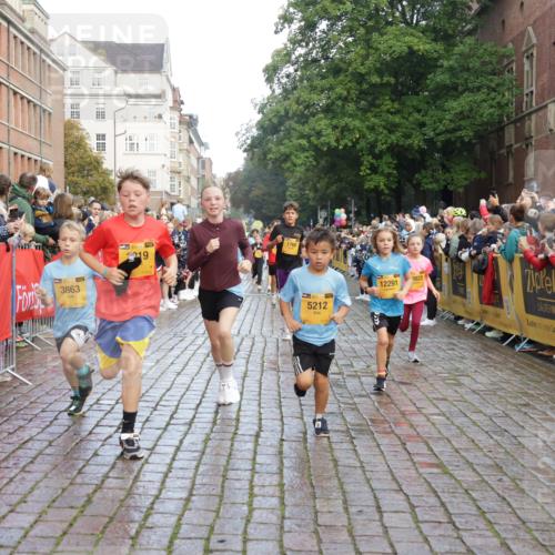 13.09.2026 - Kiel Lauf Yannick Fuchs http://msf.ph/oto/10281218 13.09.2026 08:54:51 Ziel 159, 561, 820, 1701, 2699, 2754, 2770, 4069, 4227, 4348, 5454, 6574, 6607, 6737, 7877, 9045, 9533, 10279, 10447, 11133, 11263, 11330, 11433, 11464, 11470, 11780, 12654, 241, 1218, 2139, 2542, 2610, 2742, 3211, 3457, 3896, 3936, 4419, 4494, 4731, 5041, 5462, 5693, 6030, 6214, 6574, 6618, 6740, 6945, 7055, 7774, 8110, 8111, 8545, 8670, 8850, 9447, 9533, 9698, 9714, 10488, 10920, 10937, 11468, 11656, 11840, 471, 495, 744, 889, 1450, 1768, 2773, 3219, 3863, 6206 meine-sportfotos.de