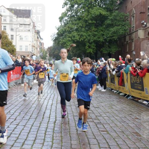 13.09.2026 - Kiel Lauf Yannick Fuchs http://msf.ph/oto/10281328 13.09.2026 08:55:00 Ziel 495, 744, 889, 1450, 2699, 2773, 4069, 4348, 4828, 6570, 6607, 7917, 9163, 11071, 11330, 11464, 11470, 11780, 12349, 159, 241, 561, 820, 1701, 2139, 2542, 2754, 2770, 3211, 3457, 3896, 3936, 4227, 4419, 5454, 5462, 5693, 6574, 6737, 6740, 6945, 7055, 7774, 7877, 8110, 8111, 8670, 8850, 9045, 9533, 9698, 10279, 10447, 10488, 10937, 11133, 11263, 11433, 11464, 11656, 12654, 114, 471, 1109, 1297, 1489, 1768, 3218, 3219, 3356, 3693, 3863, 5225, 5860, 6206, 7072, 7222, 8546 meine-sportfotos.de