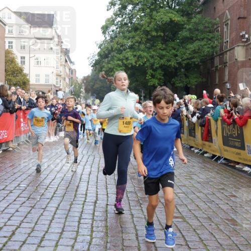 13.09.2026 - Kiel Lauf Yannick Fuchs http://msf.ph/oto/10281334 13.09.2026 08:55:00 Ziel 495, 744, 889, 1450, 2699, 2773, 4069, 4348, 4828, 6570, 6607, 7917, 9163, 11071, 11330, 11464, 11470, 11780, 12349, 159, 241, 561, 820, 1701, 2139, 2542, 2754, 2770, 3211, 3457, 3896, 3936, 4227, 4419, 5454, 5462, 5693, 6574, 6737, 6740, 6945, 7055, 7774, 7877, 8110, 8111, 8670, 8850, 9045, 9533, 9698, 10279, 10447, 10488, 10937, 11133, 11263, 11433, 11464, 11656, 12654, 114, 471, 1109, 1297, 1489, 1768, 3218, 3219, 3356, 3693, 3863, 5225, 5860, 6206, 7072, 7222, 8546 meine-sportfotos.de