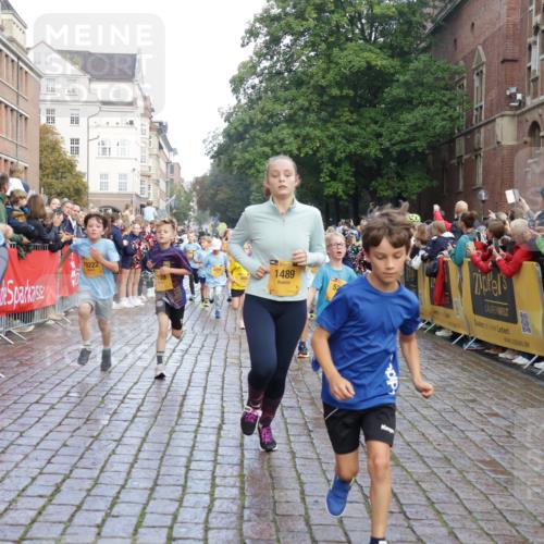 13.09.2026 - Kiel Lauf Yannick Fuchs http://msf.ph/oto/10281338 13.09.2026 08:55:00 Ziel 495, 744, 889, 1450, 2699, 2773, 4069, 4348, 4828, 6570, 6607, 7917, 9163, 11071, 11330, 11464, 11470, 11780, 12349, 159, 241, 561, 820, 1701, 2139, 2542, 2754, 2770, 3211, 3457, 3896, 3936, 4227, 4419, 5454, 5462, 5693, 6574, 6737, 6740, 6945, 7055, 7774, 7877, 8110, 8111, 8670, 8850, 9045, 9533, 9698, 10279, 10447, 10488, 10937, 11133, 11263, 11433, 11464, 11656, 12654, 114, 471, 1109, 1297, 1489, 1768, 3218, 3219, 3356, 3693, 3863, 5225, 5860, 6206, 7072, 7222, 8546 meine-sportfotos.de