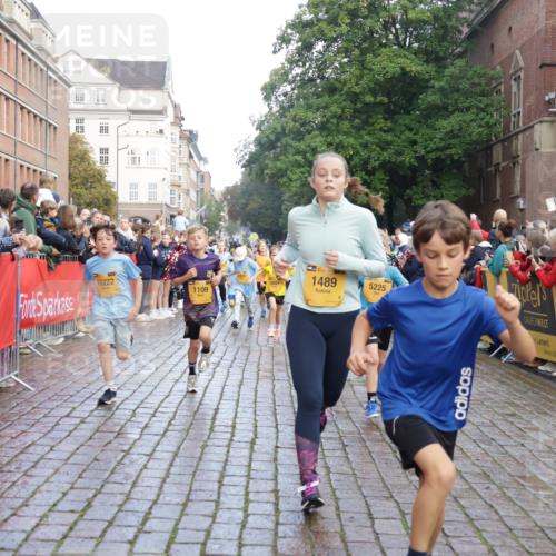 13.09.2026 - Kiel Lauf Yannick Fuchs http://msf.ph/oto/10281342 13.09.2026 08:55:01 Ziel 471, 495, 744, 889, 1450, 2699, 2773, 4069, 4348, 4828, 6570, 6607, 7917, 9163, 11071, 11330, 11470, 11780, 12349, 159, 241, 561, 820, 1701, 2139, 2542, 2754, 2770, 3211, 3457, 3936, 4227, 4419, 5454, 5462, 5693, 6574, 6737, 6740, 6945, 7055, 7774, 7877, 8110, 8111, 8670, 8850, 9045, 9533, 9698, 10279, 10447, 10488, 10937, 11133, 11263, 11330, 11433, 11464, 11470, 11656, 12654, 114, 1109, 1297, 1489, 1768, 3218, 3219, 3356, 3693, 3863, 5225, 5860, 6206, 7072, 7222, 8546 meine-sportfotos.de