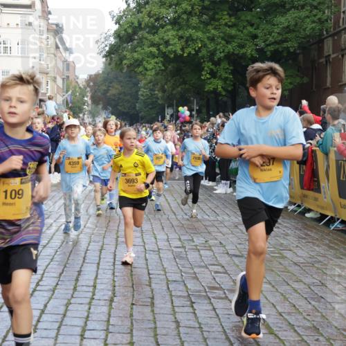 13.09.2026 - Kiel Lauf Yannick Fuchs http://msf.ph/oto/10281355 13.09.2026 08:55:02 Ziel 471, 495, 744, 889, 1450, 2699, 2773, 4069, 4348, 4828, 6570, 6607, 7917, 9163, 11071, 11780, 12349, 159, 561, 820, 1701, 2139, 2542, 2754, 2770, 3457, 3936, 4227, 5454, 5693, 6574, 6737, 6740, 6945, 7774, 7877, 8110, 8111, 8670, 8850, 9045, 9533, 9698, 10279, 10447, 10488, 10937, 11133, 11263, 11330, 11433, 11464, 11470, 11656, 12654, 114, 1109, 1297, 1489, 1768, 2023, 3218, 3219, 3356, 3693, 3863, 5225, 5860, 6206, 7072, 7222, 8546, 11656 meine-sportfotos.de