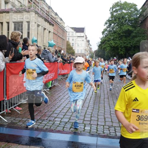 13.09.2026 - Kiel Lauf Yannick Fuchs http://msf.ph/oto/10281381 13.09.2026 08:55:04 Ziel 471, 495, 744, 889, 1450, 2699, 2773, 3863, 4069, 4348, 4828, 5212, 6570, 7917, 9163, 10817, 10822, 11071, 11235, 11780, 12291, 12349, 159, 561, 820, 1701, 2139, 2542, 2754, 2770, 3457, 3936, 4227, 4348, 5454, 5693, 6574, 6607, 6737, 7774, 7877, 8670, 8850, 9045, 9533, 9698, 10279, 10447, 10488, 11133, 11263, 11330, 11433, 11464, 11470, 11656, 11780, 12654, 114, 589, 1106, 1109, 1297, 1489, 1768, 2023, 3218, 3219, 3356, 3693, 5225, 5860, 6206, 7072, 7222, 8546, 11656 meine-sportfotos.de