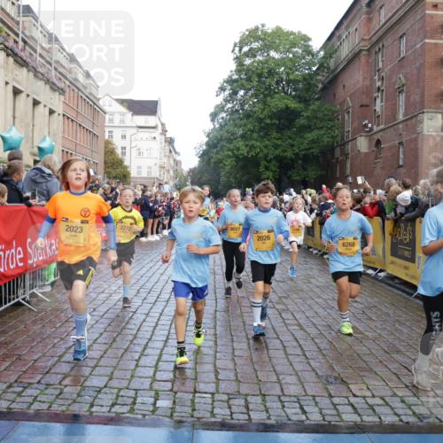 13.09.2026 - Kiel Lauf Yannick Fuchs http://msf.ph/oto/10281397 13.09.2026 08:55:05 Ziel 471, 495, 744, 889, 1450, 1768, 2699, 2773, 3219, 3863, 4069, 4828, 5212, 6570, 7917, 9163, 10817, 10822, 11071, 11235, 11573, 12291, 12349, 159, 561, 820, 1701, 2139, 2542, 2699, 2754, 2770, 3457, 4227, 4348, 5454, 5693, 6574, 6607, 6737, 7774, 7877, 8670, 8850, 9045, 9533, 9698, 10279, 10447, 10488, 11133, 11263, 11330, 11433, 11464, 11470, 11656, 11780, 12654, 114, 589, 1106, 1109, 1297, 1489, 2023, 3218, 3356, 3693, 5225, 5860, 6206, 7072, 7222, 8546, 11656 meine-sportfotos.de