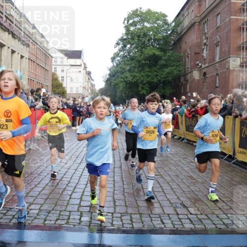 13.09.2026 - Kiel Lauf Yannick Fuchs http://msf.ph/oto/10281404 13.09.2026 08:55:05 Ziel 471, 495, 744, 889, 1450, 1768, 2699, 2773, 3219, 3863, 4069, 4828, 5212, 6570, 7917, 9163, 10817, 10822, 11071, 11235, 11573, 12291, 12349, 159, 561, 820, 1701, 2139, 2542, 2699, 2754, 2770, 3457, 4227, 4348, 5454, 5693, 6574, 6607, 6737, 7774, 7877, 8670, 8850, 9045, 9533, 9698, 10279, 10447, 10488, 11133, 11263, 11330, 11433, 11464, 11470, 11656, 11780, 12654, 114, 589, 1106, 1109, 1297, 1489, 2023, 3218, 3356, 3693, 5225, 5860, 6206, 7072, 7222, 8546, 11656 meine-sportfotos.de