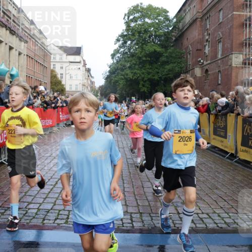 13.09.2026 - Kiel Lauf Yannick Fuchs http://msf.ph/oto/10281412 13.09.2026 08:55:06 Ziel 471, 495, 744, 889, 1450, 1768, 2773, 3219, 3863, 4069, 4828, 5212, 6206, 6570, 7917, 9163, 10817, 10822, 11071, 11235, 11573, 12291, 12349, 159, 561, 820, 1701, 2139, 2542, 2699, 2754, 2770, 3457, 4069, 4227, 4348, 5454, 5693, 6574, 6607, 6737, 7774, 7877, 8670, 8850, 9045, 9533, 9698, 10279, 10447, 10488, 11133, 11263, 11330, 11433, 11464, 11470, 11780, 12654, 114, 589, 1106, 1109, 1297, 1489, 2023, 3218, 3356, 3693, 5225, 5860, 7072, 7222, 8546, 11656 meine-sportfotos.de