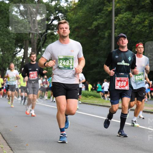 13.09.2026 - 21. swb-Marathon Bremen TobiasT http://msf.ph/oto/10281452 13.09.2026 11:55:21 Laufen 1932, 2493, 5960, 71, 808, 9299 meine-sportfotos.de