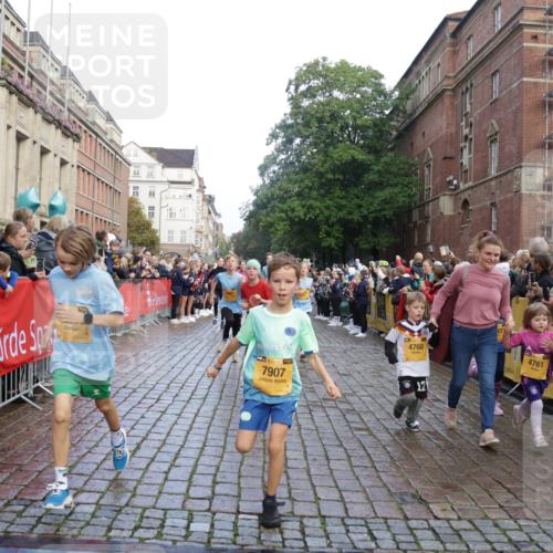 13.09.2026 - Kiel Lauf Yannick Fuchs http://msf.ph/oto/10281456 13.09.2026 08:55:10 Ziel 471, 495, 889, 1450, 1768, 2773, 3218, 3219, 3863, 5212, 5860, 6206, 6570, 7917, 8546, 9216, 10716, 10817, 10822, 11071, 11235, 11573, 12291, 12349, 159, 561, 744, 820, 1701, 2139, 2542, 2699, 2754, 2770, 2773, 3457, 4069, 4227, 4348, 4828, 5454, 6574, 6607, 6737, 7877, 8670, 8850, 9045, 9163, 9533, 9698, 10279, 10447, 10488, 11133, 11263, 11330, 11433, 11464, 11470, 11780, 12654, 114, 329, 589, 1106, 1109, 1297, 1489, 2023, 3356, 3693, 5225, 7072, 7222, 11656 meine-sportfotos.de