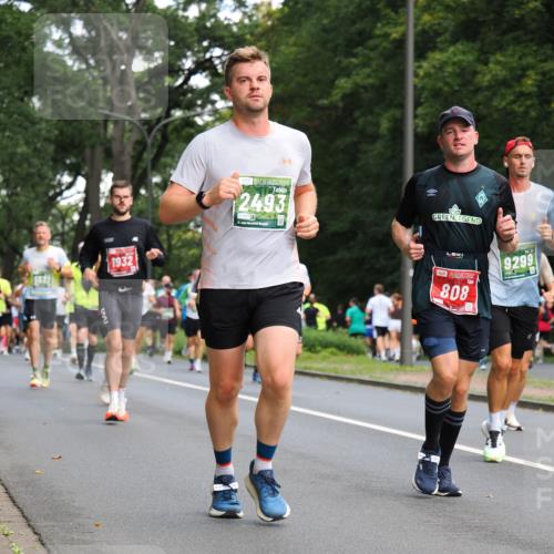 13.09.2026 - 21. swb-Marathon Bremen TobiasT http://msf.ph/oto/10281457 13.09.2026 11:55:21 Laufen 1932, 2493, 808, 9299 meine-sportfotos.de