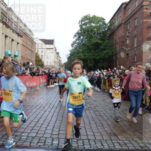 13.09.2026 - Kiel Lauf Yannick Fuchs http://msf.ph/oto/10281459 13.09.2026 08:55:10 Ziel 471, 495, 889, 1450, 1768, 2773, 3218, 3219, 3863, 5212, 5860, 6206, 6570, 7917, 8546, 9216, 10716, 10817, 10822, 11071, 11235, 11573, 12291, 12349, 159, 561, 744, 820, 1701, 2139, 2542, 2699, 2754, 2770, 2773, 3457, 4069, 4227, 4348, 4828, 5454, 6574, 6607, 6737, 7877, 8670, 8850, 9045, 9163, 9533, 9698, 10279, 10447, 10488, 11133, 11263, 11330, 11433, 11464, 11470, 11780, 12654, 114, 329, 589, 1106, 1109, 1297, 1489, 2023, 3356, 3693, 5225, 7072, 7222, 11656 meine-sportfotos.de