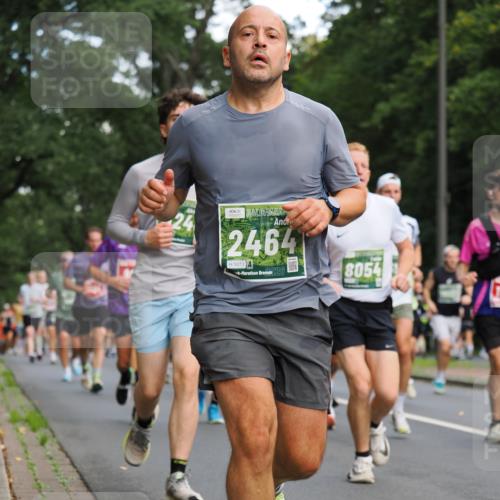 13.09.2026 - 21. swb-Marathon Bremen TobiasT http://msf.ph/oto/10281511 13.09.2026 11:55:39 Laufen 2464, 5073, 8054 meine-sportfotos.de