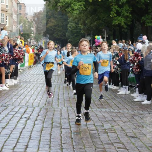 13.09.2026 - Kiel Lauf Yannick Fuchs http://msf.ph/oto/10281548 13.09.2026 08:55:17 Ziel 114, 1109, 1297, 1489, 1768, 2023, 2026, 2932, 3218, 3219, 3356, 3693, 3863, 4359, 5212, 5225, 5860, 6206, 6268, 7072, 7222, 8546, 9216, 10222, 10604, 10716, 10817, 10822, 11235, 11400, 11469, 11573, 12291, 159, 471, 495, 561, 744, 820, 889, 1450, 1701, 2699, 2754, 2770, 2773, 4069, 4227, 4348, 4828, 5454, 6570, 6607, 6737, 7877, 7917, 9045, 9163, 10279, 10447, 11071, 11133, 11263, 11330, 11433, 11464, 11470, 11780, 12349, 12654, 329, 589, 1106, 1952 meine-sportfotos.de