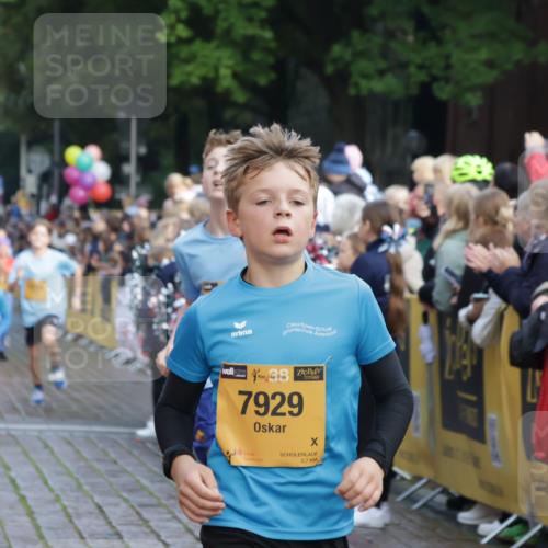13.09.2026 - Kiel Lauf Yannick Fuchs http://msf.ph/oto/10281551 13.09.2026 08:55:18 Ziel 114, 589, 1109, 1297, 1489, 1768, 2023, 2026, 2272, 2932, 3218, 3219, 3356, 3693, 3863, 4359, 5212, 5225, 5860, 6206, 6268, 7072, 7222, 8027, 8546, 9216, 10222, 10604, 10716, 10817, 10822, 11235, 11400, 11469, 11573, 12291, 159, 471, 495, 561, 744, 820, 889, 1450, 2699, 2754, 2770, 2773, 3863, 4069, 4227, 4348, 4828, 5212, 5454, 6570, 6607, 6737, 7917, 9045, 9163, 10279, 10447, 11071, 11133, 11235, 11263, 11330, 11464, 11470, 11780, 12349, 12654, 329, 1106, 1952, 2453 meine-sportfotos.de