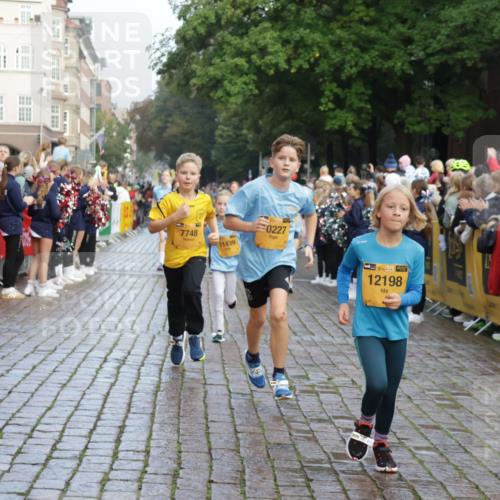 13.09.2026 - Kiel Lauf Yannick Fuchs http://msf.ph/oto/10281615 13.09.2026 08:55:23 Ziel 114, 329, 589, 1106, 1109, 1297, 1489, 2023, 2026, 2272, 2932, 3218, 3356, 3693, 4359, 4760, 4761, 4966, 5225, 5860, 6268, 7072, 7207, 7222, 7601, 7907, 8027, 8546, 9216, 9344, 10222, 10604, 10716, 11400, 11469, 12219, 471, 495, 561, 744, 820, 889, 1450, 1768, 2699, 2773, 3219, 3863, 4069, 4348, 4828, 5212, 6206, 6570, 6607, 7917, 8546, 9163, 10817, 10822, 11071, 11235, 11330, 11464, 11470, 11573, 11780, 12349, 1150, 1952, 2453, 561, 820 meine-sportfotos.de