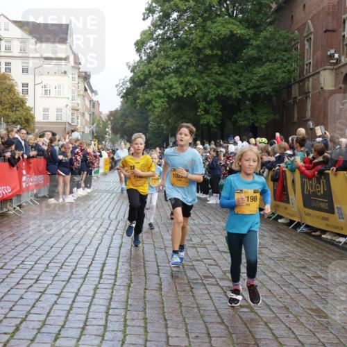 13.09.2026 - Kiel Lauf Yannick Fuchs http://msf.ph/oto/10281623 13.09.2026 08:55:23 Ziel 114, 329, 589, 1106, 1109, 1297, 1489, 2023, 2026, 2272, 2932, 3218, 3356, 3693, 4359, 4760, 4761, 4966, 5225, 5860, 6268, 7072, 7207, 7222, 7601, 7907, 8027, 8546, 9216, 9344, 10222, 10604, 10716, 11400, 11469, 12219, 471, 495, 561, 744, 820, 889, 1450, 1768, 2699, 2773, 3219, 3863, 4069, 4348, 4828, 5212, 6206, 6570, 6607, 7917, 8546, 9163, 10817, 10822, 11071, 11235, 11330, 11464, 11470, 11573, 11780, 12349, 1150, 1952, 2453, 561, 820 meine-sportfotos.de
