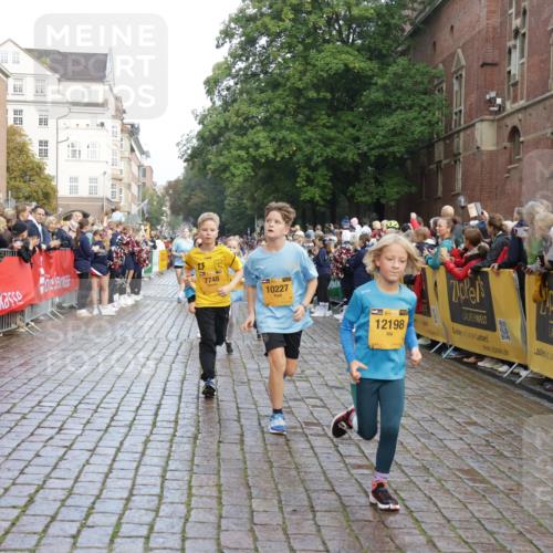 13.09.2026 - Kiel Lauf Yannick Fuchs http://msf.ph/oto/10281627 13.09.2026 08:55:23 Ziel 114, 329, 589, 1106, 1109, 1297, 1489, 2023, 2026, 2272, 2932, 3218, 3356, 3693, 4359, 4760, 4761, 4966, 5225, 5860, 6268, 7072, 7207, 7222, 7601, 7907, 8027, 8546, 9216, 9344, 10222, 10604, 10716, 11400, 11469, 12219, 471, 495, 561, 744, 820, 889, 1450, 1768, 2699, 2773, 3219, 3863, 4069, 4348, 4828, 5212, 6206, 6570, 6607, 7917, 8546, 9163, 10817, 10822, 11071, 11235, 11330, 11464, 11470, 11573, 11780, 12349, 1150, 1952, 2453, 561, 820 meine-sportfotos.de