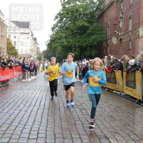 13.09.2026 - Kiel Lauf Yannick Fuchs http://msf.ph/oto/10281630 13.09.2026 08:55:23 Ziel 114, 329, 589, 1106, 1109, 1297, 1489, 2023, 2026, 2272, 2932, 3218, 3356, 3693, 4359, 4760, 4761, 4966, 5225, 5860, 6268, 7072, 7207, 7222, 7601, 7907, 8027, 8546, 9216, 9344, 10222, 10604, 10716, 11400, 11469, 12219, 471, 495, 561, 744, 820, 889, 1450, 1768, 2699, 2773, 3219, 3863, 4069, 4348, 4828, 5212, 6206, 6570, 6607, 7917, 8546, 9163, 10817, 10822, 11071, 11235, 11330, 11464, 11470, 11573, 11780, 12349, 1150, 1952, 2453, 561, 820 meine-sportfotos.de