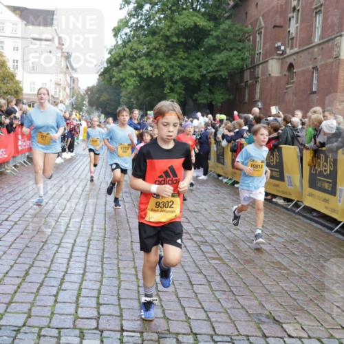 13.09.2026 - Kiel Lauf Yannick Fuchs http://msf.ph/oto/10281677 13.09.2026 08:55:27 Ziel 114, 329, 589, 1106, 1109, 1297, 1489, 1952, 2023, 2026, 2272, 2344, 2642, 2932, 3356, 3693, 4359, 4760, 4761, 4966, 5225, 5932, 6268, 7072, 7207, 7601, 7852, 7907, 8027, 9344, 10222, 11400, 11469, 12219, 12530, 114, 471, 495, 744, 889, 1450, 1489, 1768, 2699, 2773, 3218, 3219, 3863, 4069, 4348, 4828, 5212, 5860, 6206, 6570, 6607, 7222, 7917, 8546, 9163, 9216, 10604, 10716, 10817, 10822, 11071, 11235, 11400, 11573, 11780, 12349, 277, 1150, 1160, 1310, 2453, 561, 820 meine-sportfotos.de