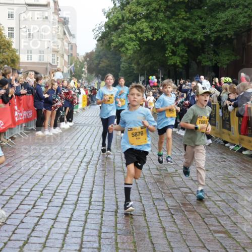 13.09.2026 - Kiel Lauf Yannick Fuchs http://msf.ph/oto/10281719 13.09.2026 08:55:31 Ziel 329, 589, 1106, 1952, 2023, 2026, 2272, 2344, 2642, 2932, 4122, 4359, 4760, 4761, 4966, 5932, 6268, 7207, 7601, 7852, 7907, 7929, 8027, 9344, 11469, 11657, 12219, 12530, 114, 471, 495, 744, 889, 1109, 1297, 1450, 1489, 1768, 2773, 3218, 3219, 3356, 3693, 3863, 4069, 4828, 5212, 5225, 5860, 6206, 6570, 7072, 7222, 7917, 8546, 9163, 9216, 10222, 10604, 10716, 10817, 10822, 11071, 11235, 11400, 11573, 12349, 277, 1150, 1160, 1310, 2453 meine-sportfotos.de