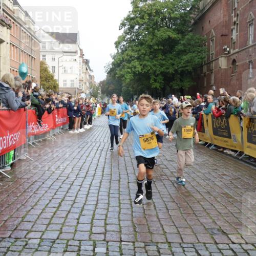 13.09.2026 - Kiel Lauf Yannick Fuchs http://msf.ph/oto/10281733 13.09.2026 08:55:31 Ziel 329, 589, 1106, 1952, 2023, 2026, 2272, 2344, 2642, 2932, 4122, 4359, 4760, 4761, 4966, 5932, 6268, 7207, 7601, 7852, 7907, 7929, 8027, 9344, 11469, 11657, 12219, 12530, 114, 471, 495, 744, 889, 1109, 1297, 1450, 1489, 1768, 2773, 3218, 3219, 3356, 3693, 3863, 4069, 4828, 5212, 5225, 5860, 6206, 6570, 7072, 7222, 7917, 8546, 9163, 9216, 10222, 10604, 10716, 10817, 10822, 11071, 11235, 11400, 11573, 12349, 277, 1150, 1160, 1310, 2453 meine-sportfotos.de