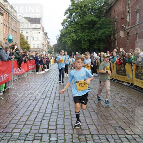 13.09.2026 - Kiel Lauf Yannick Fuchs http://msf.ph/oto/10281737 13.09.2026 08:55:31 Ziel 329, 589, 1106, 1952, 2023, 2026, 2272, 2344, 2642, 2932, 4122, 4359, 4760, 4761, 4966, 5932, 6268, 7207, 7601, 7852, 7907, 7929, 8027, 9344, 11469, 11657, 12219, 12530, 114, 471, 495, 744, 889, 1109, 1297, 1450, 1489, 1768, 2773, 3218, 3219, 3356, 3693, 3863, 4069, 4828, 5212, 5225, 5860, 6206, 6570, 7072, 7222, 7917, 8546, 9163, 9216, 10222, 10604, 10716, 10817, 10822, 11071, 11235, 11400, 11573, 12349, 277, 1150, 1160, 1310, 2453 meine-sportfotos.de