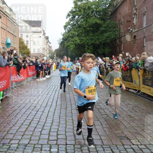 13.09.2026 - Kiel Lauf Yannick Fuchs http://msf.ph/oto/10281741 13.09.2026 08:55:31 Ziel 329, 589, 1106, 1952, 2023, 2026, 2272, 2344, 2642, 2932, 4122, 4359, 4760, 4761, 4966, 5932, 6268, 7207, 7601, 7852, 7907, 7929, 8027, 9344, 11469, 11657, 12219, 12530, 114, 471, 495, 744, 889, 1109, 1297, 1450, 1489, 1768, 2773, 3218, 3219, 3356, 3693, 3863, 4069, 4828, 5212, 5225, 5860, 6206, 6570, 7072, 7222, 7917, 8546, 9163, 9216, 10222, 10604, 10716, 10817, 10822, 11071, 11235, 11400, 11573, 12349, 277, 1150, 1160, 1310, 2453 meine-sportfotos.de