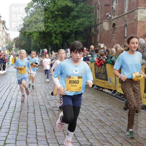 13.09.2026 - Kiel Lauf Yannick Fuchs http://msf.ph/oto/10281786 13.09.2026 08:55:36 Ziel 329, 1952, 2344, 2453, 2642, 4122, 5932, 7207, 7601, 7748, 7852, 7907, 7929, 9344, 10227, 10271, 11657, 12198, 12219, 12530, 12712, 114, 471, 495, 589, 889, 1106, 1109, 1297, 1450, 1489, 1768, 2023, 2026, 2272, 2932, 3218, 3219, 3356, 3693, 3863, 4359, 4760, 4761, 4966, 5212, 5225, 5860, 6206, 6268, 6570, 7072, 7222, 7907, 7917, 8027, 8546, 9216, 10222, 10604, 10716, 10817, 10822, 11071, 11235, 11400, 11469, 11573, 12219, 12349, 277, 1150, 1160, 1310 meine-sportfotos.de