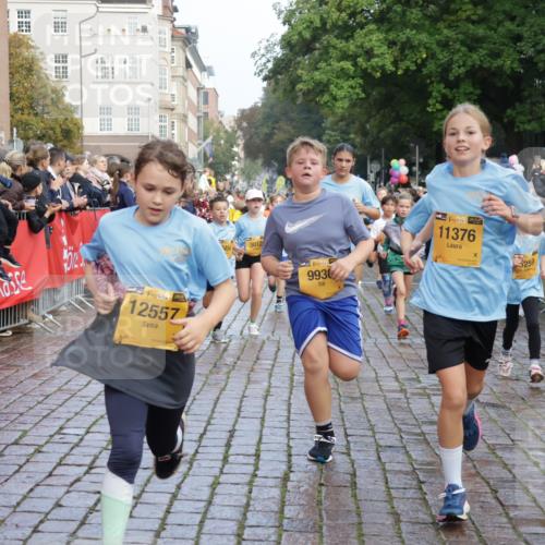 13.09.2026 - Kiel Lauf Yannick Fuchs http://msf.ph/oto/10281857 13.09.2026 08:55:43 Ziel 277, 1150, 1160, 1310, 1712, 2453, 2998, 3253, 4122, 4545, 4682, 5876, 6290, 7748, 7929, 9033, 9302, 10188, 10227, 10271, 10818, 10934, 11439, 11657, 12198, 12712, 114, 329, 589, 1106, 1109, 1297, 1489, 1768, 1952, 2023, 2026, 2272, 2344, 2642, 2932, 3218, 3219, 3356, 3693, 3863, 4359, 4760, 4761, 4966, 5212, 5225, 5860, 5932, 6206, 6268, 7072, 7207, 7222, 7601, 7852, 7907, 8027, 8546, 9216, 9344, 10222, 10604, 10716, 10817, 10822, 11235, 11400, 11469, 11573, 12219, 74 meine-sportfotos.de