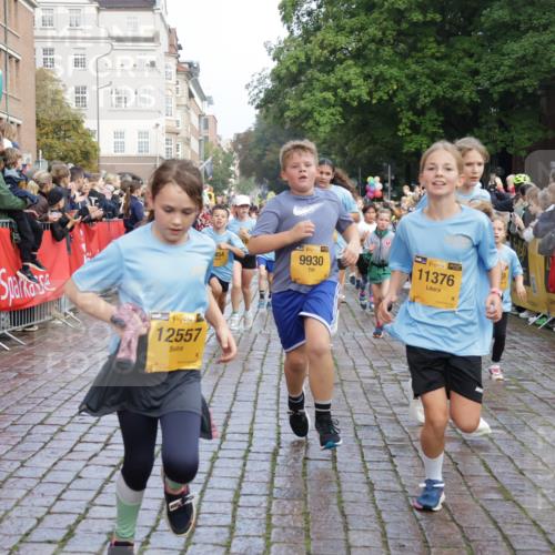 13.09.2026 - Kiel Lauf Yannick Fuchs http://msf.ph/oto/10281861 13.09.2026 08:55:44 Ziel 277, 645, 1150, 1160, 1310, 1712, 2453, 2998, 3253, 4122, 4545, 4682, 5876, 6290, 7748, 7929, 9033, 9302, 10188, 10227, 10271, 10818, 10934, 11439, 11657, 12198, 12712, 114, 329, 589, 1106, 1109, 1297, 1489, 1768, 1952, 2023, 2026, 2272, 2344, 2642, 2932, 3218, 3219, 3356, 3693, 4359, 4760, 4761, 4966, 5225, 5860, 5932, 6206, 6268, 7072, 7207, 7222, 7601, 7852, 7907, 8027, 8546, 9216, 9344, 10222, 10604, 10716, 10817, 10822, 11400, 11469, 11573, 12219, 74, 76 meine-sportfotos.de