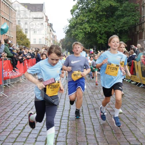 13.09.2026 - Kiel Lauf Yannick Fuchs http://msf.ph/oto/10281865 13.09.2026 08:55:44 Ziel 277, 645, 1150, 1160, 1310, 1712, 2453, 2998, 3253, 4122, 4545, 4682, 5876, 6290, 7748, 7929, 9033, 9302, 10188, 10227, 10271, 10818, 10934, 11439, 11657, 12198, 12712, 114, 329, 589, 1106, 1109, 1297, 1489, 1768, 1952, 2023, 2026, 2272, 2344, 2642, 2932, 3218, 3219, 3356, 3693, 4359, 4760, 4761, 4966, 5225, 5860, 5932, 6206, 6268, 7072, 7207, 7222, 7601, 7852, 7907, 8027, 8546, 9216, 9344, 10222, 10604, 10716, 10817, 10822, 11400, 11469, 11573, 12219, 74, 76 meine-sportfotos.de