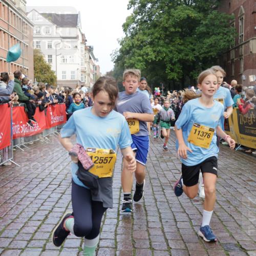 13.09.2026 - Kiel Lauf Yannick Fuchs http://msf.ph/oto/10281868 13.09.2026 08:55:44 Ziel 277, 645, 1150, 1160, 1310, 1712, 2453, 2998, 3253, 4122, 4545, 4682, 5876, 6290, 7748, 7929, 9033, 9302, 10188, 10227, 10271, 10818, 10934, 11439, 11657, 12198, 12712, 114, 329, 589, 1106, 1109, 1297, 1489, 1768, 1952, 2023, 2026, 2272, 2344, 2642, 2932, 3218, 3219, 3356, 3693, 4359, 4760, 4761, 4966, 5225, 5860, 5932, 6206, 6268, 7072, 7207, 7222, 7601, 7852, 7907, 8027, 8546, 9216, 9344, 10222, 10604, 10716, 10817, 10822, 11400, 11469, 11573, 12219, 74, 76 meine-sportfotos.de