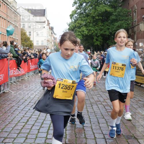 13.09.2026 - Kiel Lauf Yannick Fuchs http://msf.ph/oto/10281872 13.09.2026 08:55:44 Ziel 277, 645, 1150, 1160, 1310, 1712, 2453, 2998, 3253, 4122, 4545, 4682, 5876, 6290, 7748, 7929, 9033, 9302, 10188, 10227, 10271, 10818, 10934, 11439, 11657, 12198, 12712, 114, 329, 589, 1106, 1109, 1297, 1489, 1768, 1952, 2023, 2026, 2272, 2344, 2642, 2932, 3218, 3219, 3356, 3693, 4359, 4760, 4761, 4966, 5225, 5860, 5932, 6206, 6268, 7072, 7207, 7222, 7601, 7852, 7907, 8027, 8546, 9216, 9344, 10222, 10604, 10716, 10817, 10822, 11400, 11469, 11573, 12219, 74, 76 meine-sportfotos.de