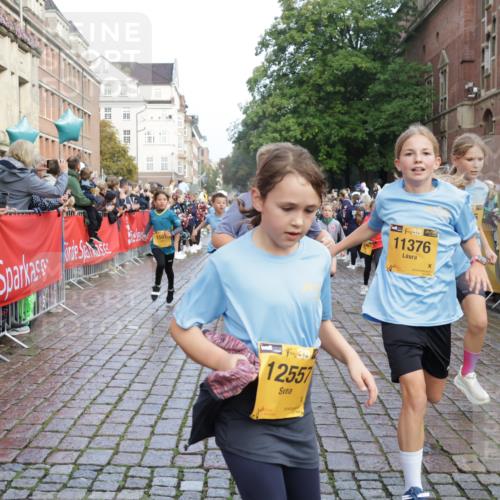 13.09.2026 - Kiel Lauf Yannick Fuchs http://msf.ph/oto/10281875 13.09.2026 08:55:44 Ziel 277, 645, 1150, 1160, 1310, 1712, 2453, 2998, 3253, 4122, 4545, 4682, 5876, 6290, 7748, 7929, 9033, 9302, 10188, 10227, 10271, 10818, 10934, 11439, 11657, 12198, 12712, 114, 329, 589, 1106, 1109, 1297, 1489, 1768, 1952, 2023, 2026, 2272, 2344, 2642, 2932, 3218, 3219, 3356, 3693, 4359, 4760, 4761, 4966, 5225, 5860, 5932, 6206, 6268, 7072, 7207, 7222, 7601, 7852, 7907, 8027, 8546, 9216, 9344, 10222, 10604, 10716, 10817, 10822, 11400, 11469, 11573, 12219, 74, 76 meine-sportfotos.de