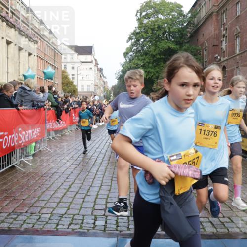 13.09.2026 - Kiel Lauf Yannick Fuchs http://msf.ph/oto/10281879 13.09.2026 08:55:44 Ziel 277, 645, 1150, 1160, 1310, 1712, 2453, 2998, 3253, 4122, 4545, 4682, 5876, 6290, 7748, 7929, 9033, 9302, 10188, 10227, 10271, 10818, 10934, 11439, 11657, 12198, 12712, 114, 329, 589, 1106, 1109, 1297, 1489, 1768, 1952, 2023, 2026, 2272, 2344, 2642, 2932, 3218, 3219, 3356, 3693, 4359, 4760, 4761, 4966, 5225, 5860, 5932, 6206, 6268, 7072, 7207, 7222, 7601, 7852, 7907, 8027, 8546, 9216, 9344, 10222, 10604, 10716, 10817, 10822, 11400, 11469, 11573, 12219, 74, 76 meine-sportfotos.de