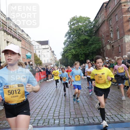 13.09.2026 - Kiel Lauf Yannick Fuchs http://msf.ph/oto/10281913 13.09.2026 08:55:47 Ziel 277, 645, 1150, 1160, 1249, 1310, 1712, 2453, 2998, 3253, 4545, 4682, 5297, 5876, 6290, 7748, 8960, 9033, 9302, 10188, 10227, 10271, 10818, 10934, 11439, 12198, 12712, 114, 329, 589, 1106, 1109, 1297, 1489, 1952, 2023, 2026, 2272, 2344, 2642, 2932, 3218, 3356, 3693, 4122, 4359, 4760, 4761, 4966, 5225, 5860, 5932, 6268, 7072, 7207, 7222, 7601, 7852, 7907, 7929, 8027, 8546, 9216, 9344, 10222, 10604, 10716, 11400, 11469, 11657, 12219, 12712, 74, 76 meine-sportfotos.de