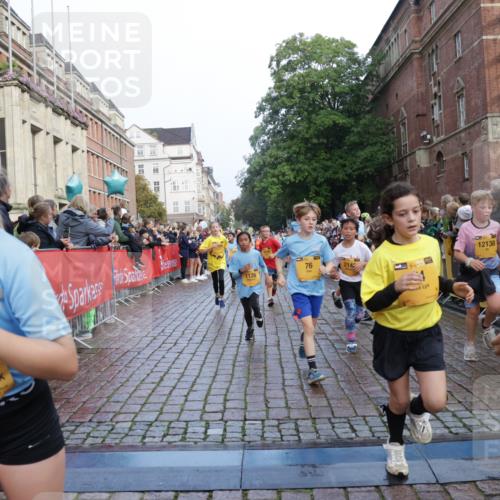 13.09.2026 - Kiel Lauf Yannick Fuchs http://msf.ph/oto/10281918 13.09.2026 08:55:47 Ziel 277, 645, 1150, 1160, 1249, 1310, 1712, 2453, 2998, 3253, 4545, 4682, 5297, 5876, 6290, 7748, 8960, 9033, 9302, 10188, 10227, 10271, 10818, 10934, 11439, 12198, 12712, 114, 329, 589, 1106, 1109, 1297, 1489, 1952, 2023, 2026, 2272, 2344, 2642, 2932, 3218, 3356, 3693, 4122, 4359, 4760, 4761, 4966, 5225, 5860, 5932, 6268, 7072, 7207, 7222, 7601, 7852, 7907, 7929, 8027, 8546, 9216, 9344, 10222, 10604, 10716, 11400, 11469, 11657, 12219, 12712, 74, 76 meine-sportfotos.de