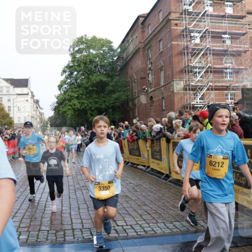 13.09.2026 - Kiel Lauf Yannick Fuchs http://msf.ph/oto/10281987 13.09.2026 08:55:54 Ziel 277, 547, 645, 1160, 1249, 1310, 1712, 2711, 3253, 3358, 3409, 4545, 4682, 4755, 5289, 5297, 5547, 5781, 5876, 6290, 7816, 8619, 8960, 9792, 10188, 10818, 10934, 329, 589, 1106, 1109, 1150, 1297, 1952, 2023, 2026, 2272, 2344, 2453, 2642, 2932, 2998, 3356, 3693, 4122, 4359, 4760, 4761, 4966, 5932, 6268, 7072, 7207, 7601, 7748, 7852, 7907, 7929, 8027, 9033, 9302, 9344, 10227, 10271, 10818, 11439, 11469, 11657, 12219, 12712, 74, 76, 669, 114 meine-sportfotos.de