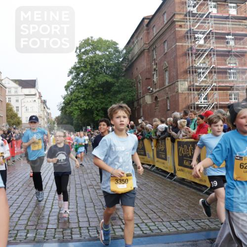 13.09.2026 - Kiel Lauf Yannick Fuchs http://msf.ph/oto/10281988 13.09.2026 08:55:55 Ziel 277, 547, 645, 1160, 1249, 1310, 1712, 2711, 3253, 3358, 3409, 4545, 4682, 4755, 5289, 5297, 5547, 5781, 5876, 6290, 7816, 8619, 8960, 9792, 10188, 10934, 12557, 277, 329, 589, 1106, 1150, 1712, 1952, 2023, 2026, 2272, 2344, 2453, 2642, 2932, 2998, 3356, 3693, 4122, 4359, 4760, 4761, 4966, 5932, 6268, 7072, 7207, 7601, 7748, 7852, 7907, 7929, 8027, 9033, 9302, 9344, 10227, 10271, 10818, 11439, 11469, 11657, 12219, 12712, 74, 76, 669, 114 meine-sportfotos.de